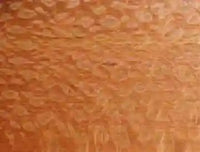 There are many different hardwoods with a wide variety of colours and textures for custom knife handles.