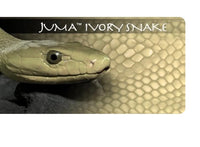 
              Juma Exotic Scales set - 1/4" x 2" x 6"
            