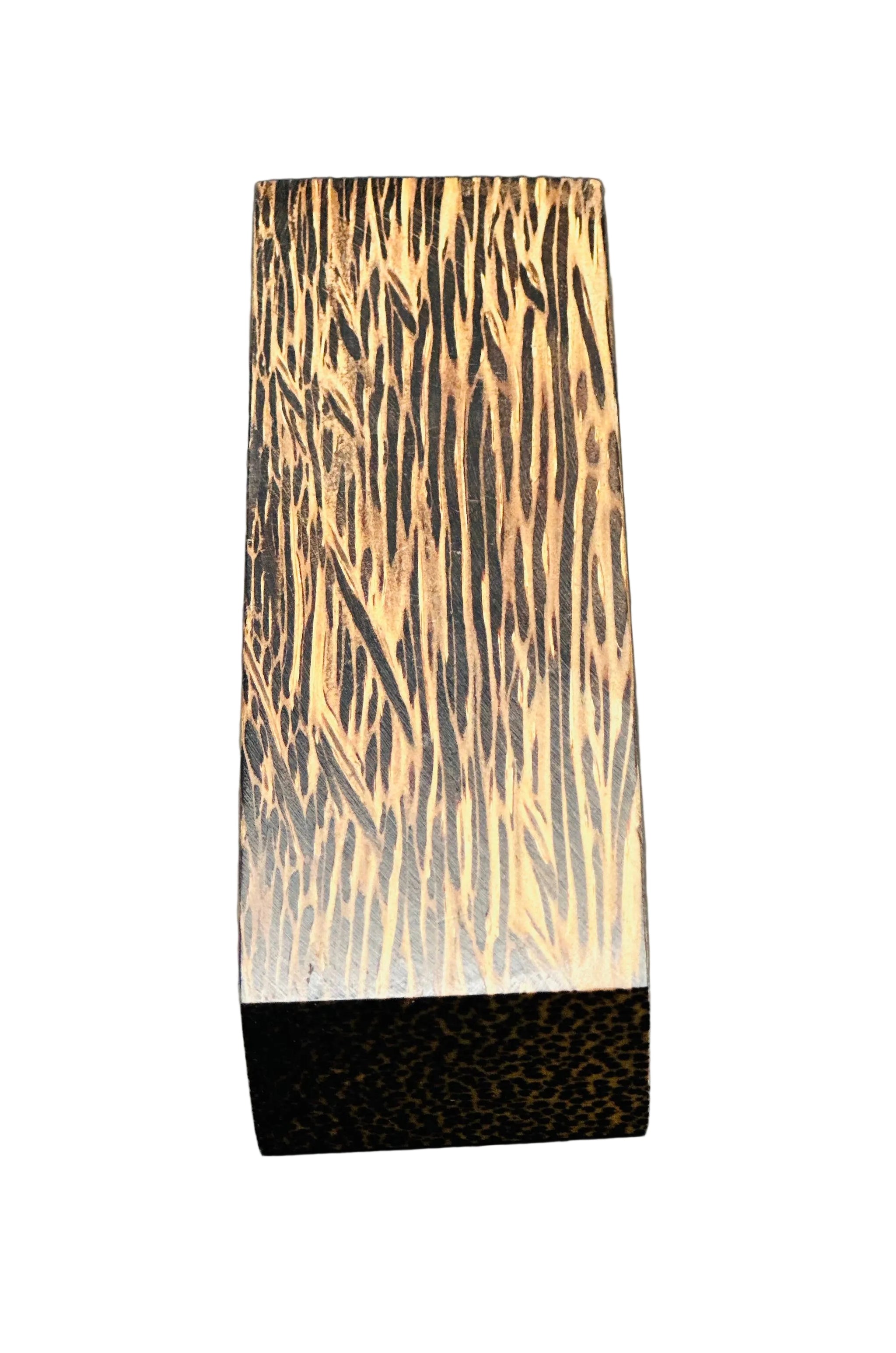 Black Palm Block - 5