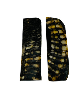 Ram's horn is a unique and sought-after material for knife handles due to its natural beauty, durability, and distinct texture. Shows two beautiful yellow and black scales. 
