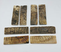 
              Natural Rams Horn Scale Sets are crafted from authentic ram horn with a unique blend of hues. Shows eight scales of beige and brown lines. Some are darker brown and black variations. 
            