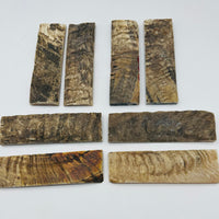 Natural Rams Horn Scale Sets are crafted from authentic ram horn with a unique blend of hues. Shows eight scales of beige and brown lines. Some are darker brown and black variations. 