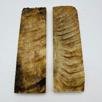 Natural Rams Horn Scale Sets are crafted from authentic ram horn with a unique blend of hues. Shows two scales of beige and brown lines. 