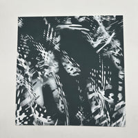 Kydex Relv is an innovative and dynamic pattern. This is a Medusa 12" x 12" x 0.080 sheet. It is a black, grey and white irregular pattern.