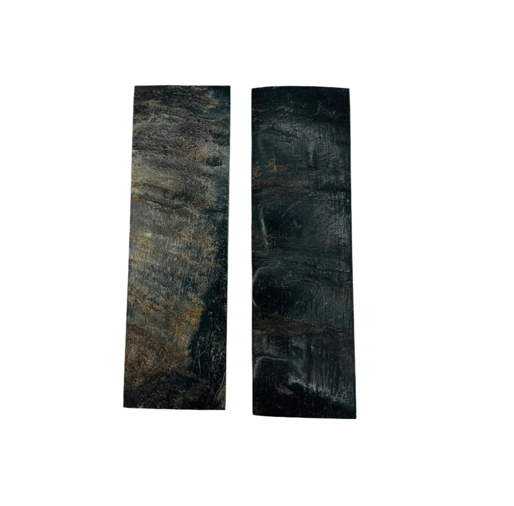 Two Zebu Horns - Natural Burnt Scales 1/4