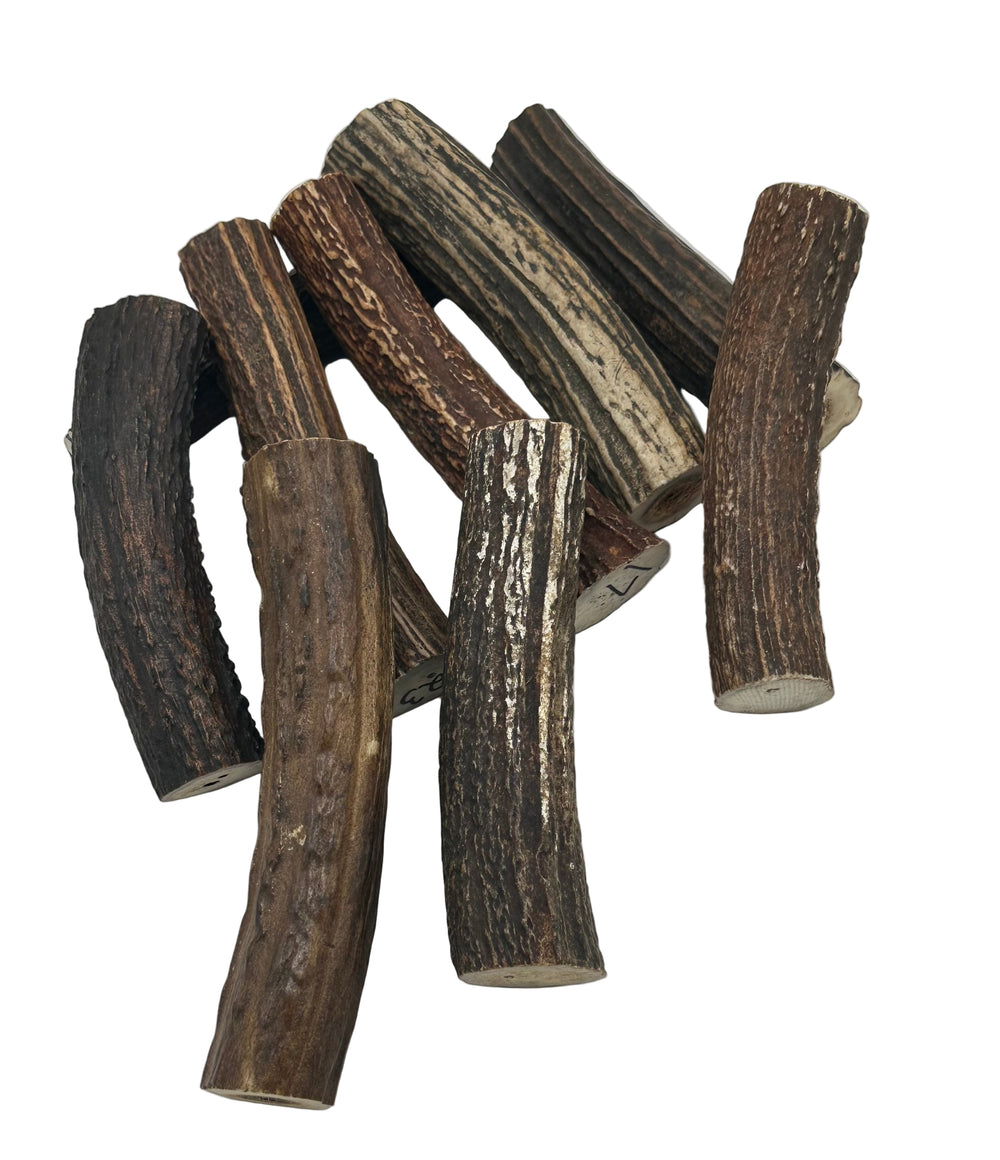 India Water Buffalo Stag Rolls - 1