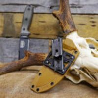 
              Ultiplate on a knife sheath with a Ulticlip attached to it.  Laying on a elk skull with antlers. 
            