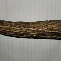 Stag Taper - Small