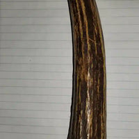 Stag Taper - Small