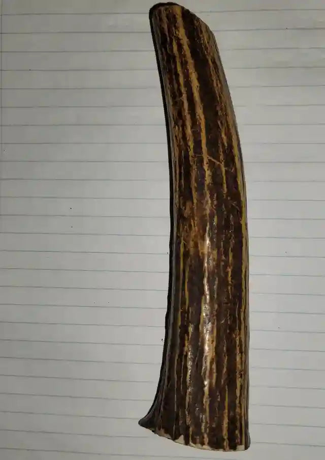Stag Taper - Small