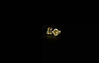 
              GS 8 Eyelets 1/4" comes in a package of 25 for making knife sheaths. Multiple colours available. This one is brass. 
            
