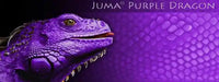 
              Juma Exotic Scales set - 1/4" x 2" x 6"
            