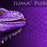 Juma Exotic Scales set - 1/4" x 2" x 6"