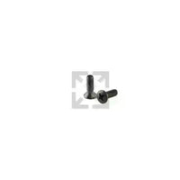 Oval Head Screws come in a package of 25 for making knife sheaths.